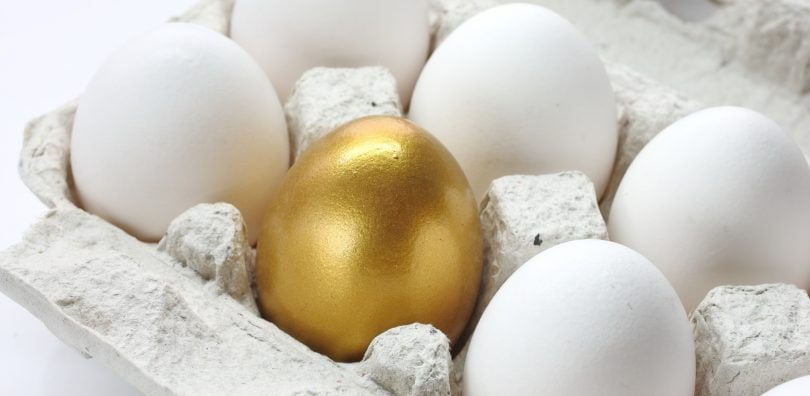 powero of attorney eggs