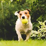 Exercise referral scheme - joining the gym in old age