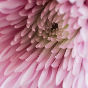 AdobeStock 195637116