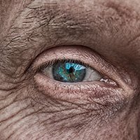 eyesight eyesight