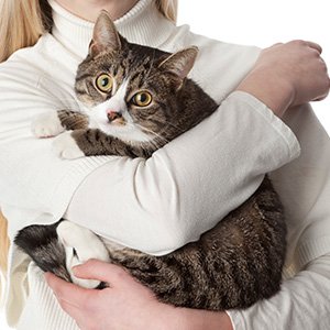 petsastherapy
