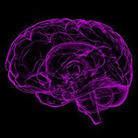 alzheimers alzheimers