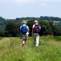 Hertfordshire Health Walks