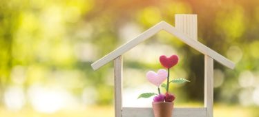 Lib Dems election pledge, free personal care at home