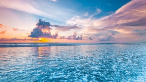 Scattering ashes at sea in the UK