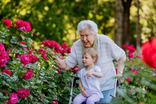 Occupational therapists, mobility and living independently