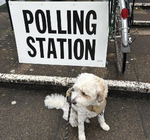 Voting and Dementia for the General Election 2024
