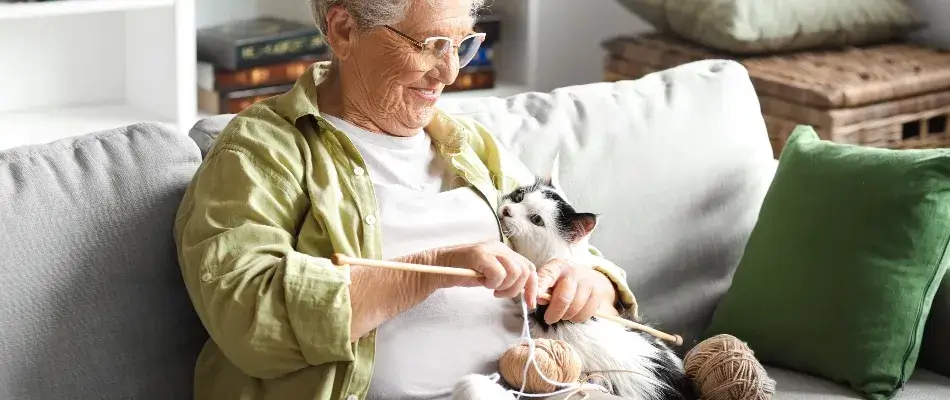 Older woman sitting on the sofa and knitting with her cat