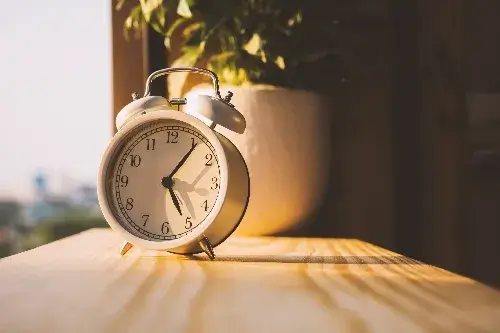 Alarm clock in front of potted plant on desk dappled by sunlight
