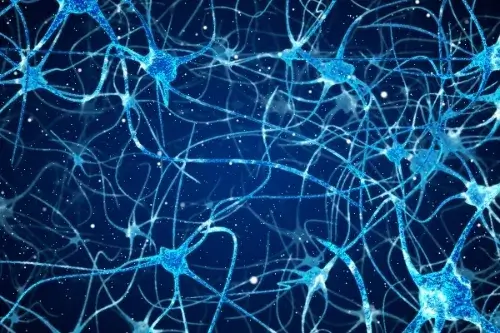 Inside of a brain with blue neurons and nerves