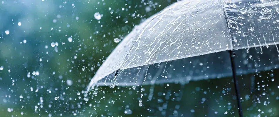 Rain falling on transparent umbrella in front of blurred greenery