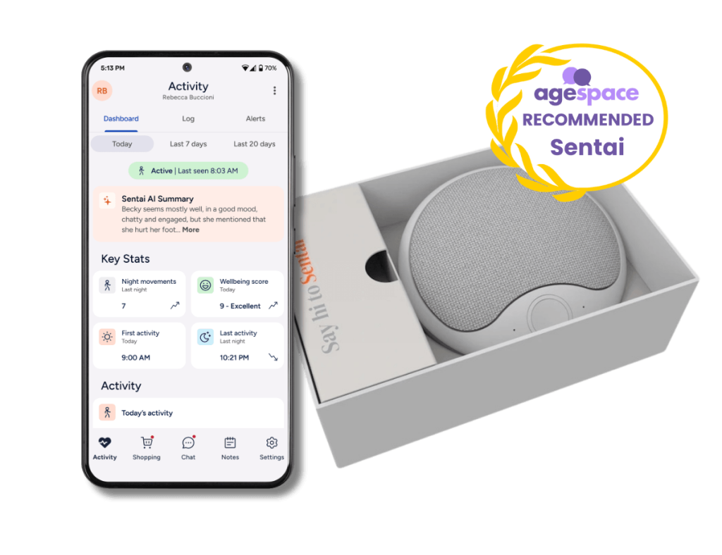 Grey sentai smart companion in a box with a phone -recommended by Age Space
