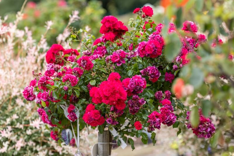 floral tribute to someone after they ve died
